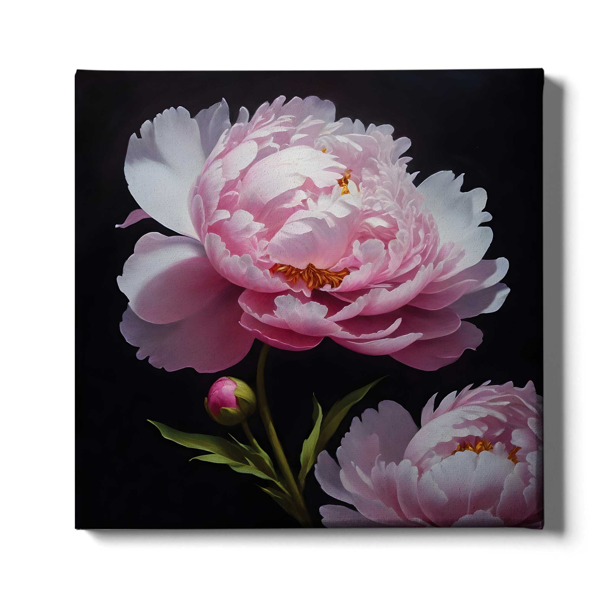 Bloomed Peonies - artX