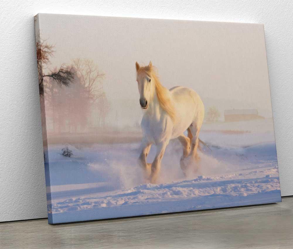 Tablou "White Horse" - Xtra.ro
