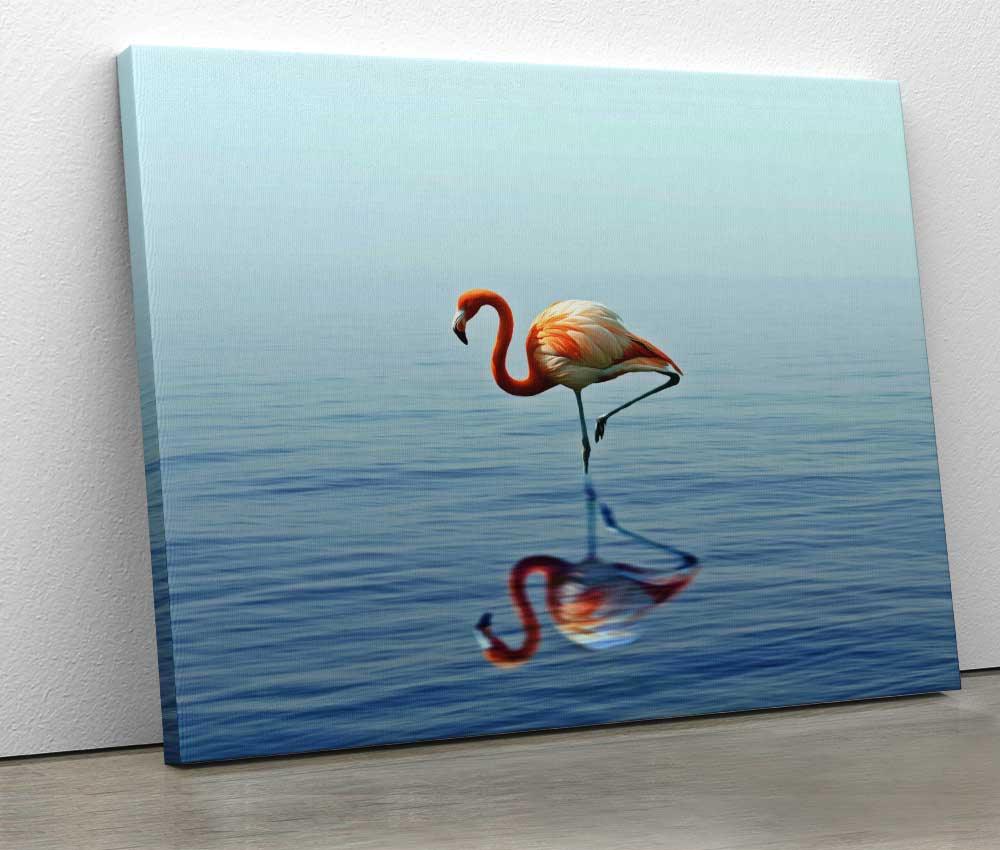 Tablou "Flamingo Reflection" - Xtra.ro