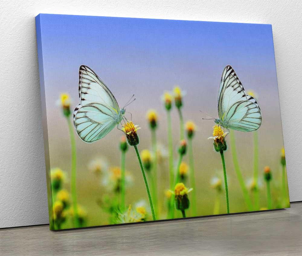 Tablou "Dandelion Butterfly" - Xtra.ro