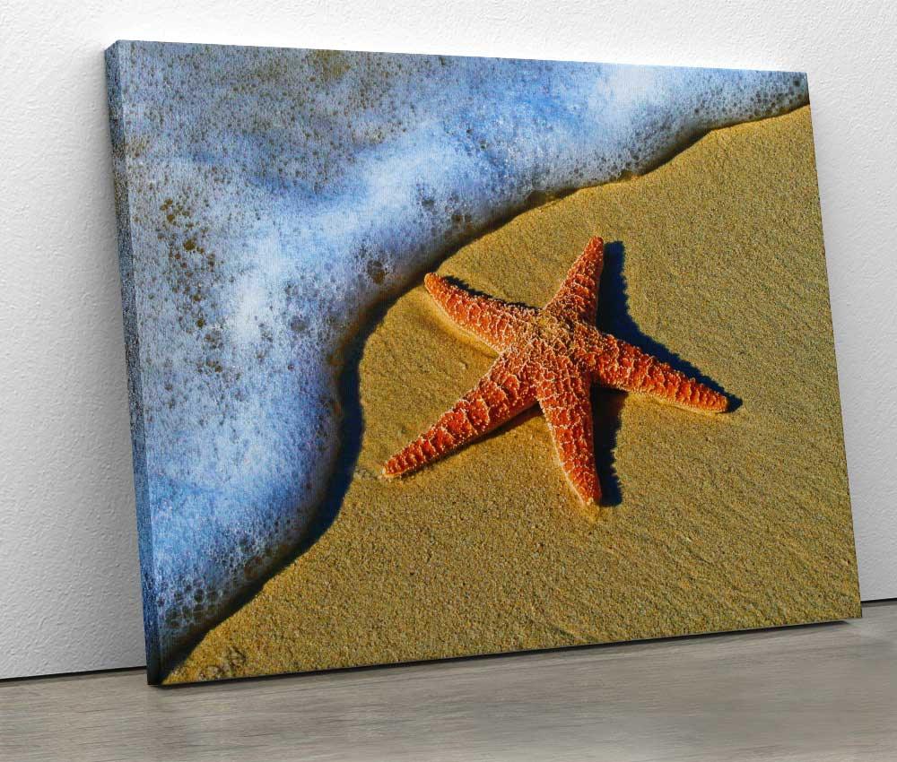 Tablou "Starfish 2" - Xtra.ro