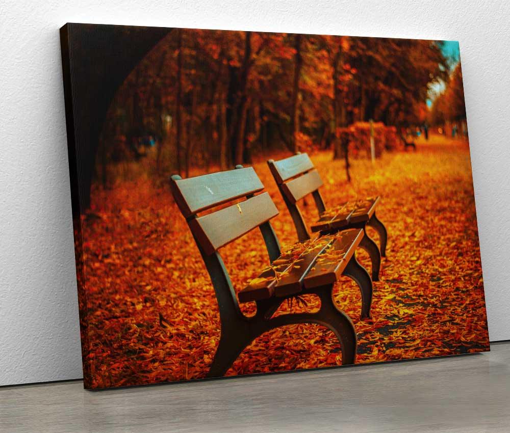 Tablou "Autumn Benches" - Xtra.ro