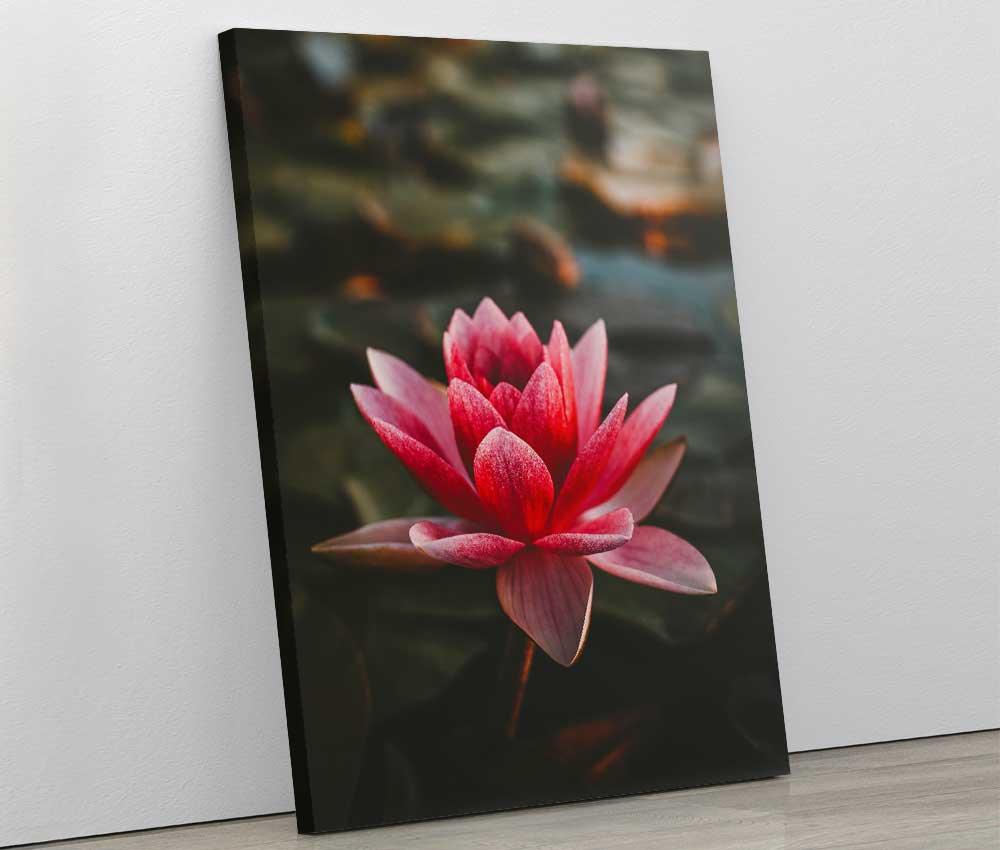 Tablou "Floare de Lotus" - Xtra.ro