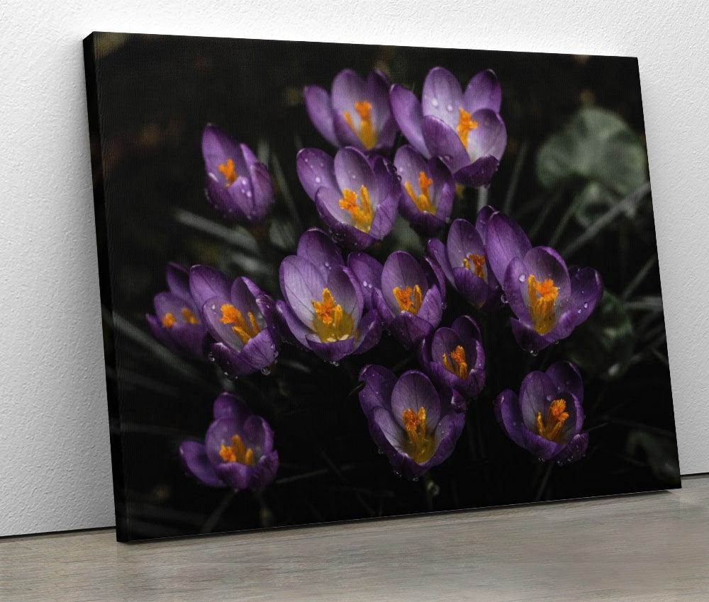 Tablou "Small Purple Flowers" - Xtra.ro
