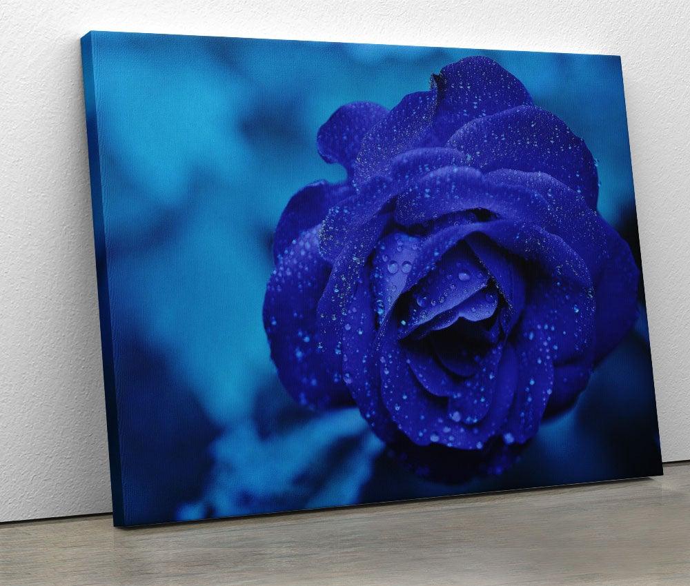 Tablou "Blue Rose" - Xtra.ro