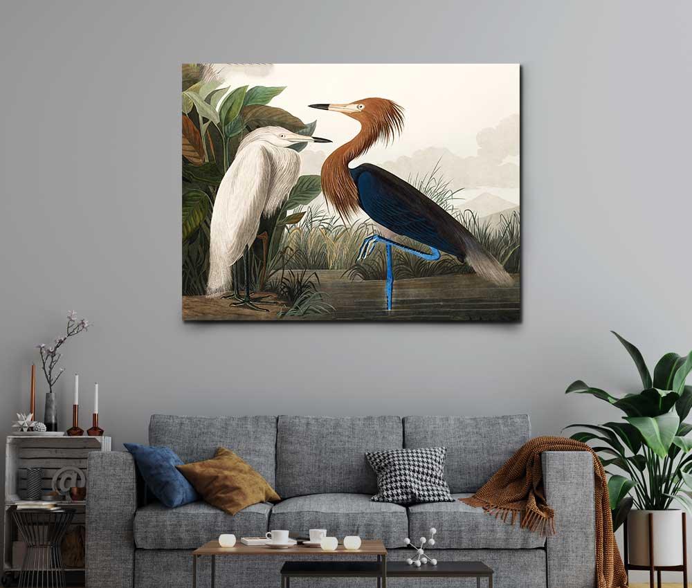 John James Audubon - Purple Heron - Xtra.ro